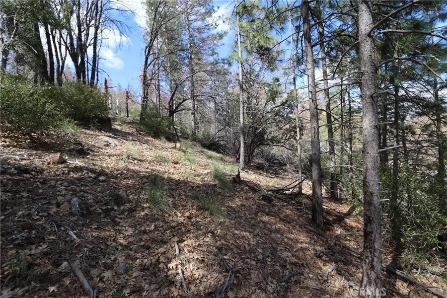 11256 Loch Lomond Road, Lake, CA 95461 - Image #2