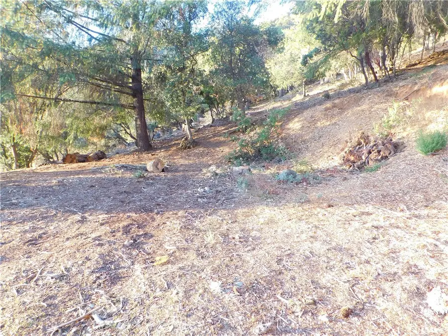 8431 Mountain Crest Drive, Kelseyville, CA 95451 - #2