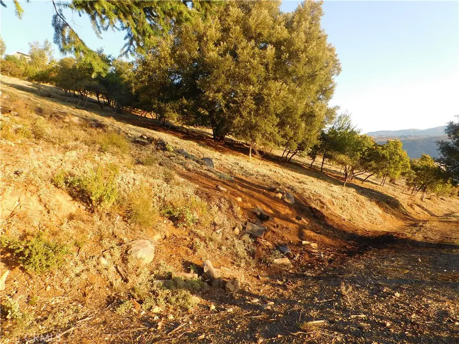 8431 Mountain Crest Drive, Kelseyville, CA 95451 - #3