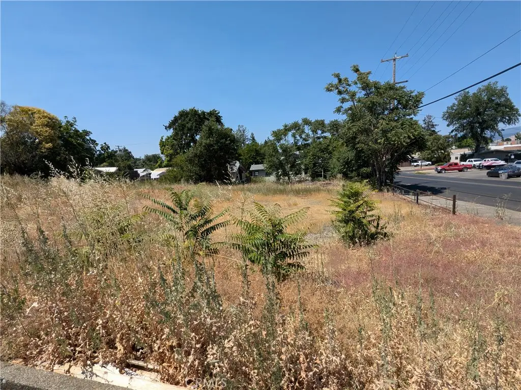 455 N Forbes Street, Lakeport, CA 95453 - #1