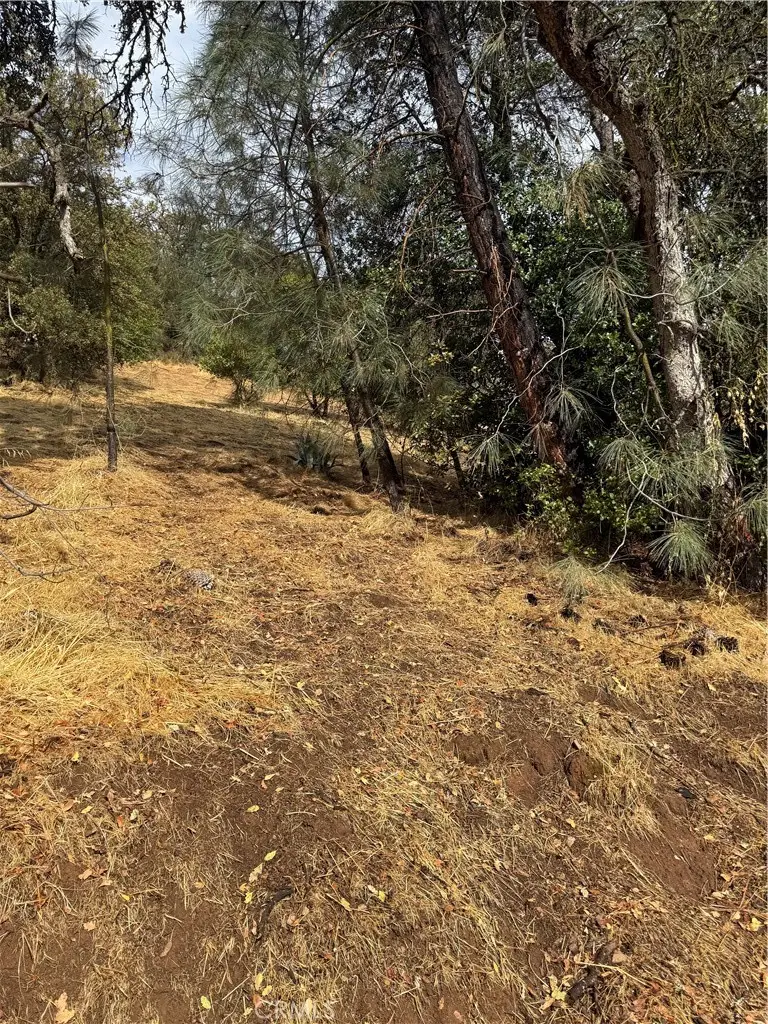 12504 Lakeview Drive, Clearlake Oaks, CA 95423 - Image #1