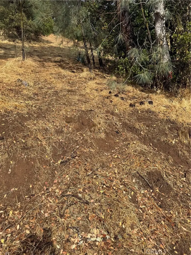 12504 Lakeview Drive, Clearlake Oaks, CA 95423 - Image #2