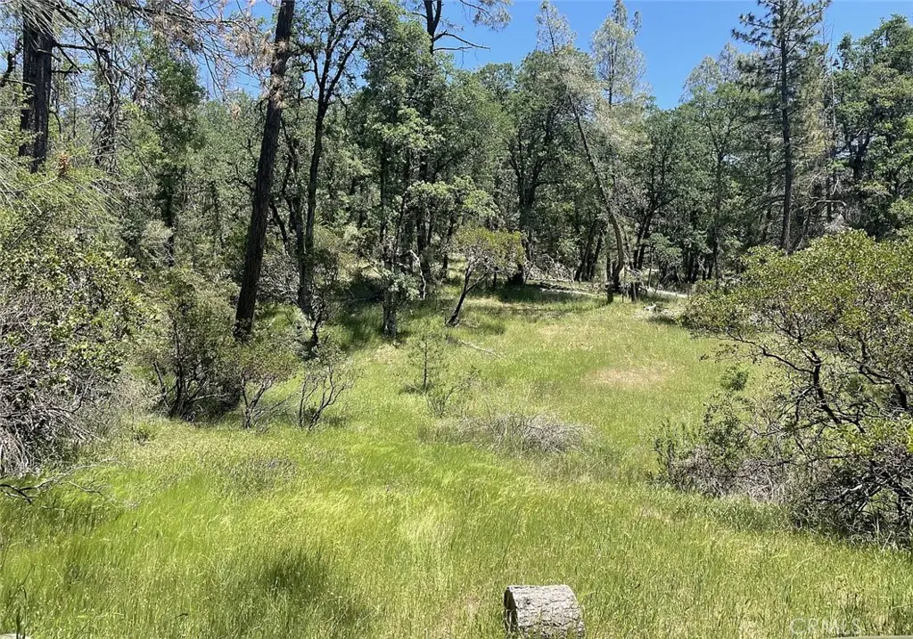 9660 Harrington Flat Road, Lake, CA 95461 - #1