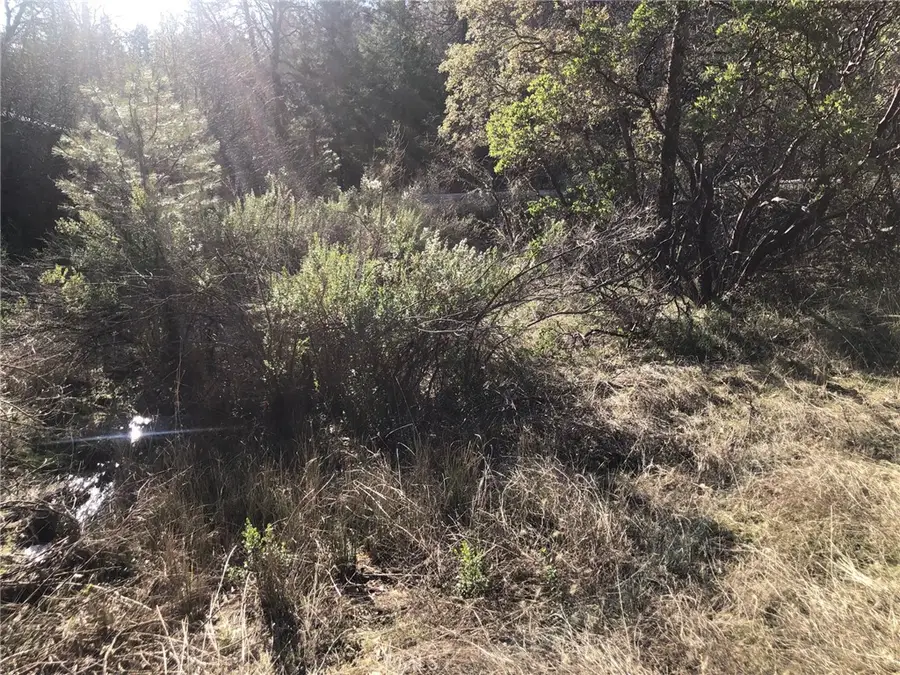 9660 Harrington Flat Road, Lake, CA 95461 - #2