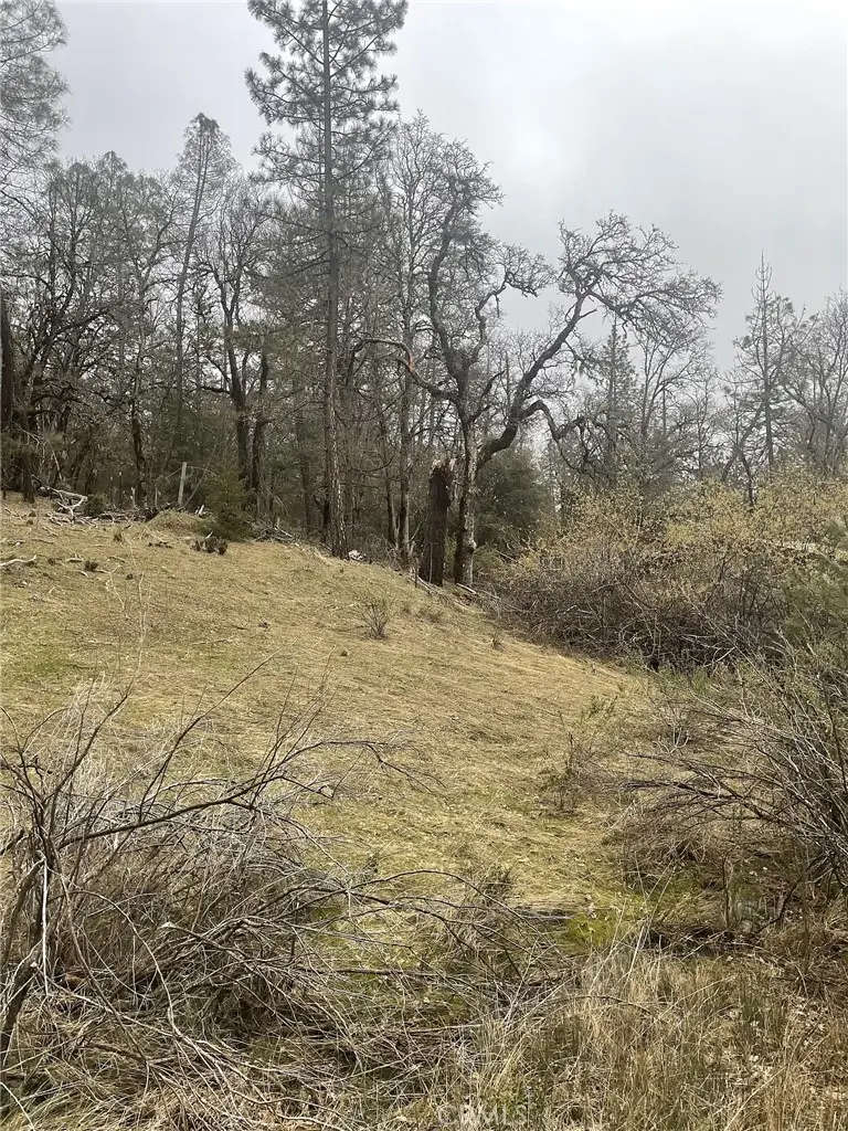 9660 Harrington Flat Road, Lake, CA 95461 - #3