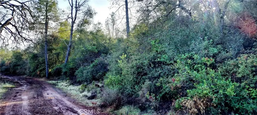 15151 Gray Pine Road, Lower Lake, CA 95457 - #3