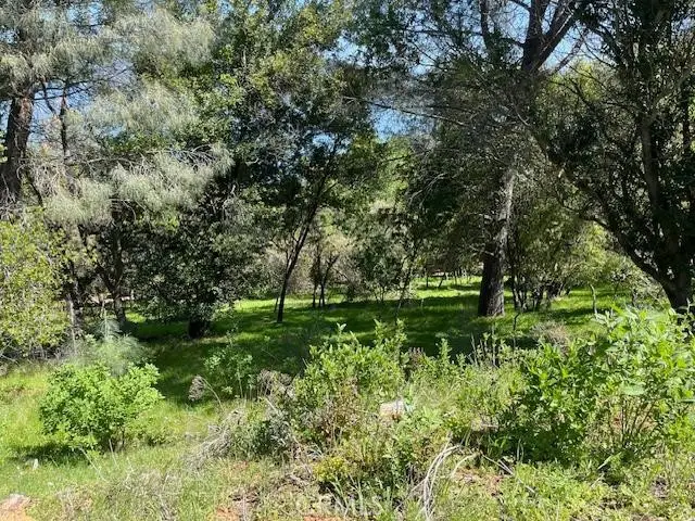 8444 Soda Bay Road, Kelseyville, CA 95451 - #3