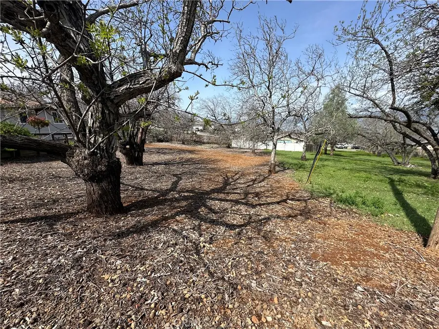 3165 Marina View Drive, Kelseyville, CA 95451 - #3