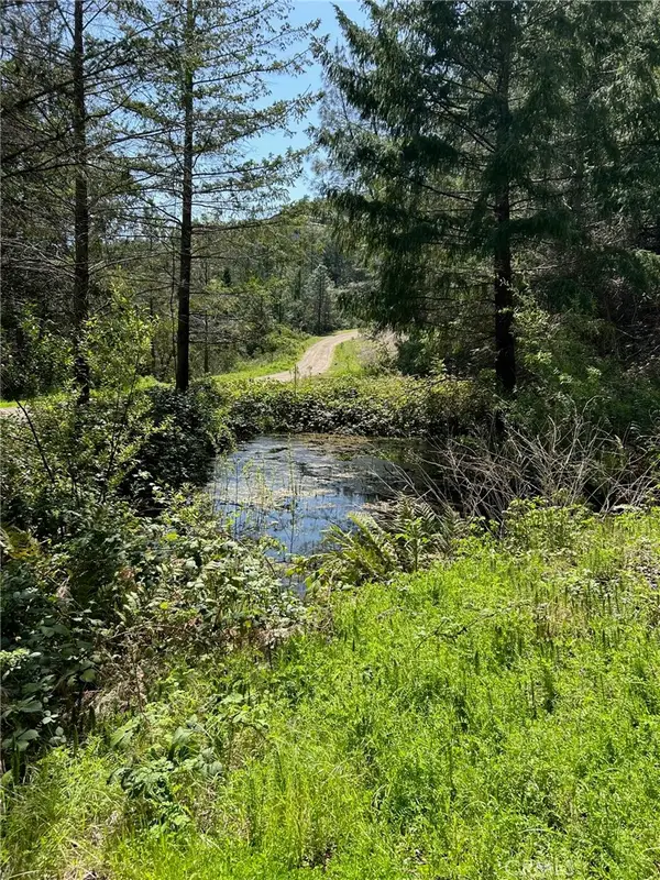 14607 Western Mine Road, Middletown, CA 95461