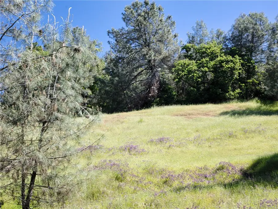 6983 Leslie Road, Lucerne, CA 95458 - #2