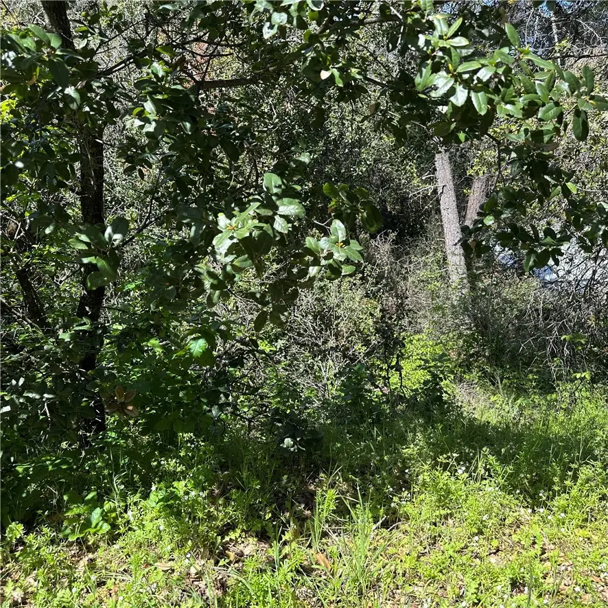 6972 Floyd Way, Nice, CA 95464 - Image #1