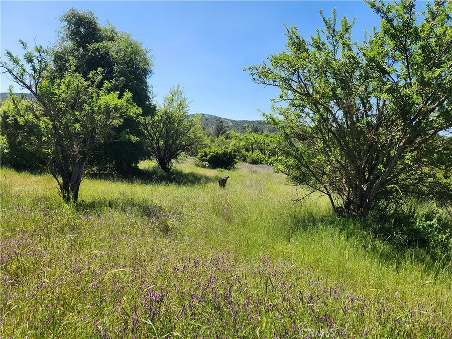 14241 Mcbride Court, Clearlake Oaks, CA 95423 - Image #2