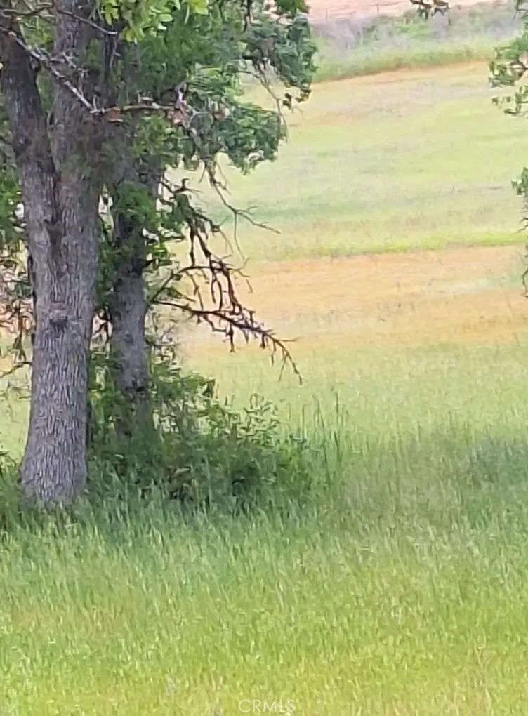 3397 Oleander Street, Clearlake, CA 95422 - Image #1