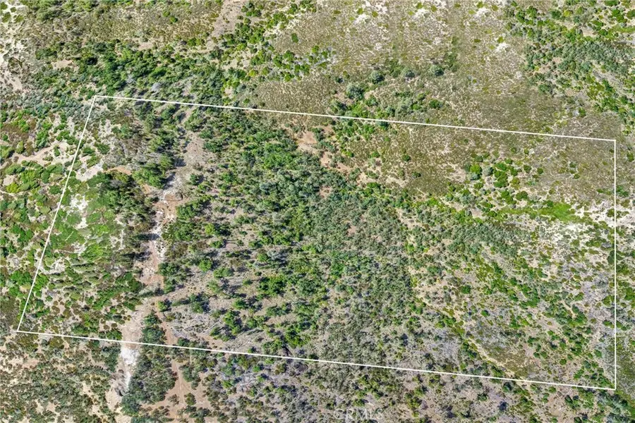 22550 Shady Grove Road, Middletown, CA 95461 - Image #2