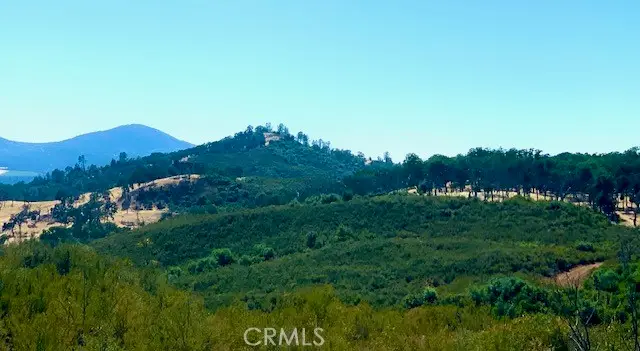 10455 Sky High Ridge Road, Lower Lake, CA 95457 - #1