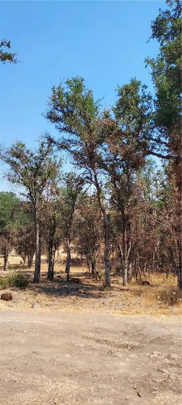 16034 13th Avenue, Clearlake, CA 95422 - Image #1