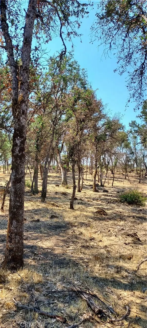 16034 13th Avenue, Clearlake, CA 95422 - Image #3