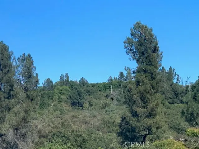 9510 Bottle Rock Road, Kelseyville, CA 95451 - Image #2