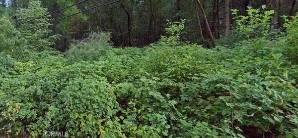 15845 Bottle Rock Road, Cobb, CA 95426