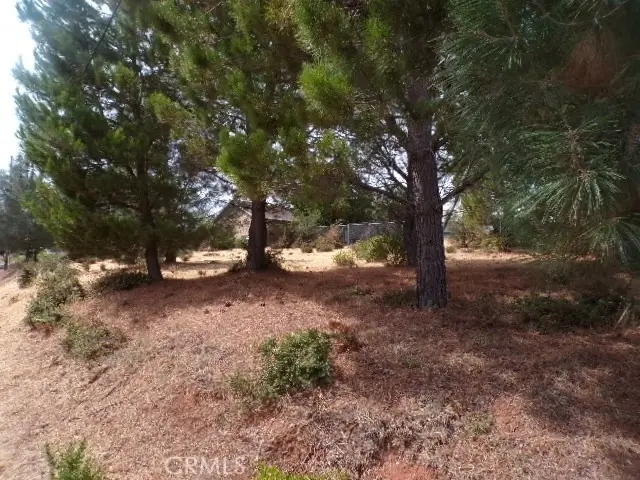 10268 Delmonte Way, Kelseyville, CA 95451 - #1