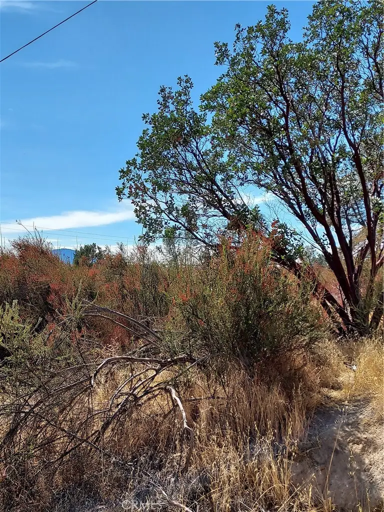 16301 11th Avenue, Clearlake, CA 95422 - Image #1