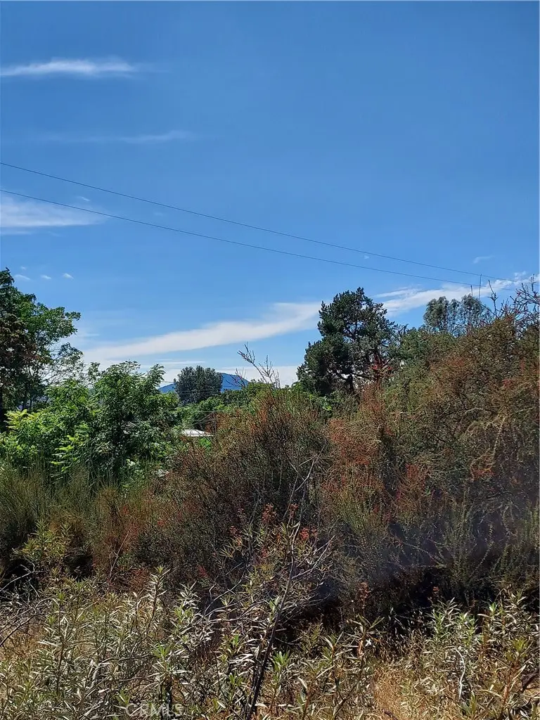 16301 11th Avenue, Clearlake, CA 95422 - Image #2