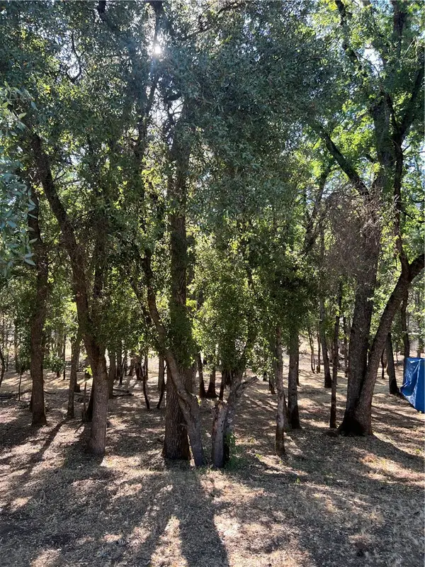 5723 Inca Way, Kelseyville, CA 95451