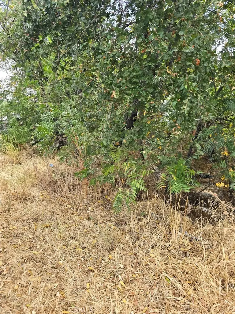 1466 Hammonton Smartsville Road, Linda, CA 95901 - Image #2