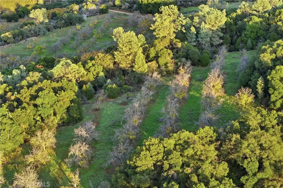 5685 Konocti, Kelseyville, CA 95451 - Image #3