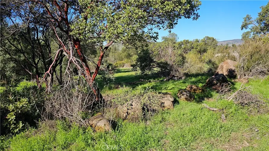 3631 Eureka Avenue, Clearlake, CA 95422 - Image #3