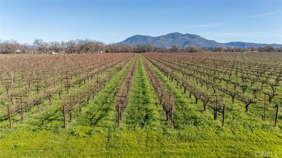 4450 Davis Drive, Lakeport, CA 95453 - #3