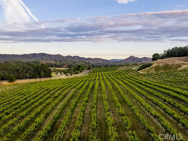 7875 Adobe Creek Road, Kelseyville, CA 95451 - #2
