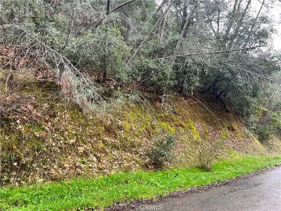 7022 Black Oak Street, Nice, CA 95464 - #3