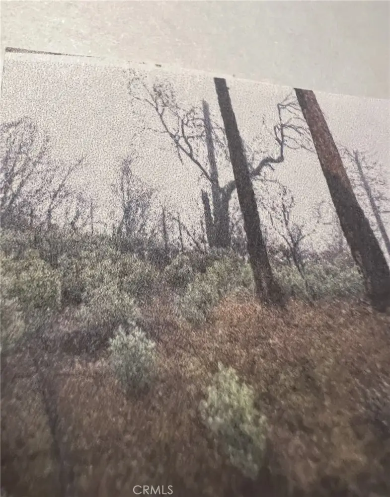 0 Rockerfeller Rd, Berry Creek, CA 95916 - #3