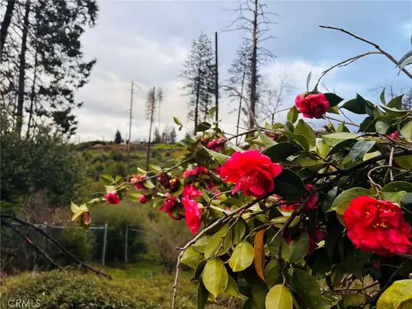 0 Crestview Drive, Paradise, CA 95969