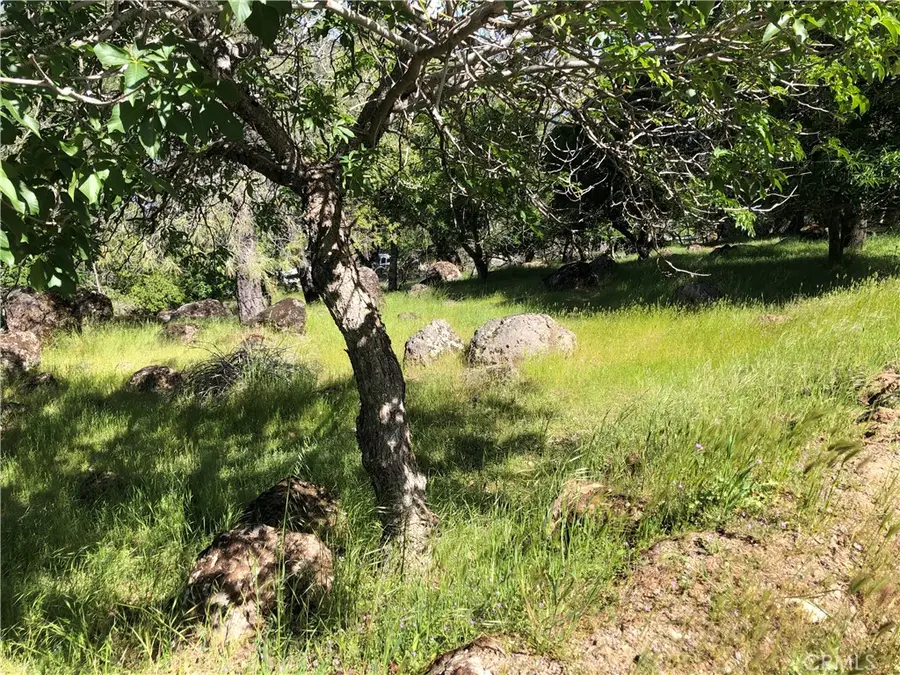 13616 Anderson Road, Lower Lake, CA 95457 - #2