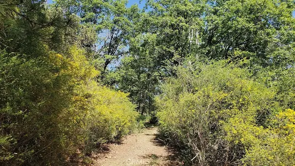 11890 Loch Lomond, Loch Lomond, CA 95461