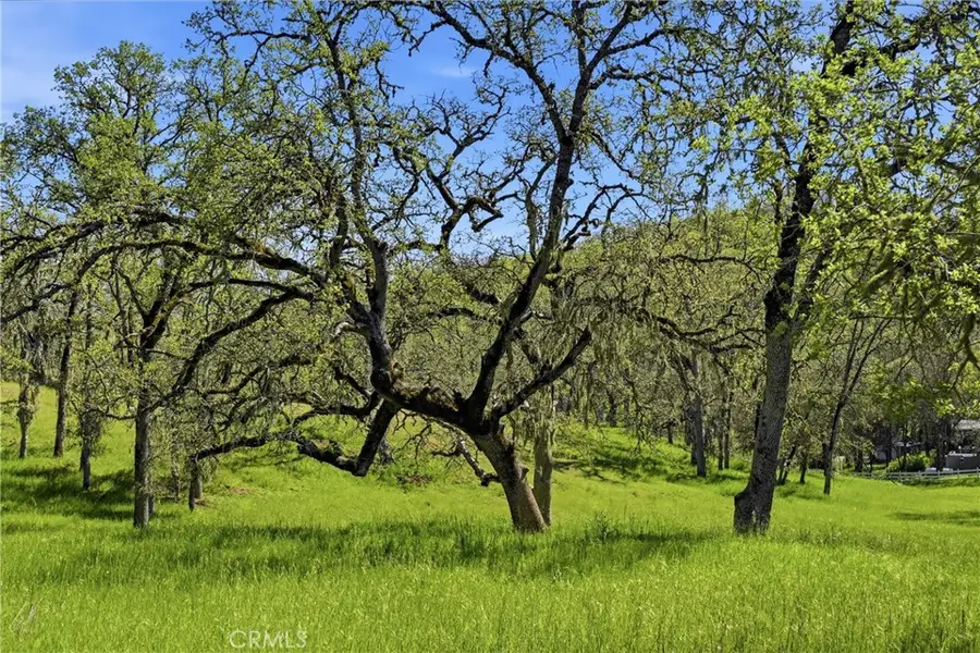 726 Park, Lakeport, CA 95453 - #3