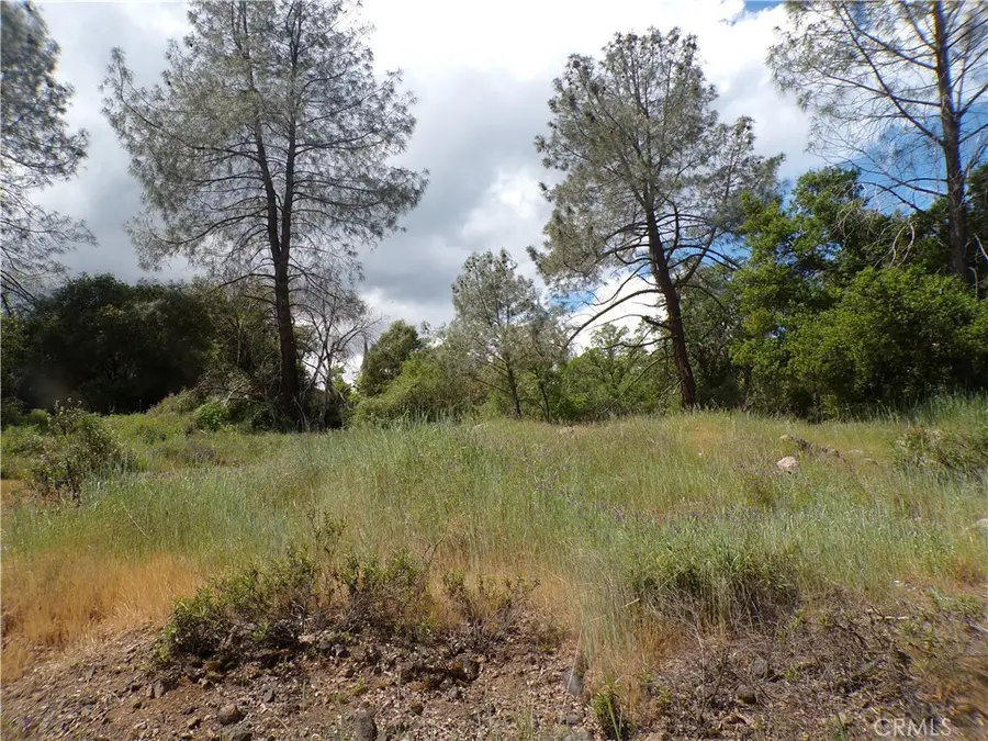 14304 Redbud, Clearlake, CA 95422 - #3