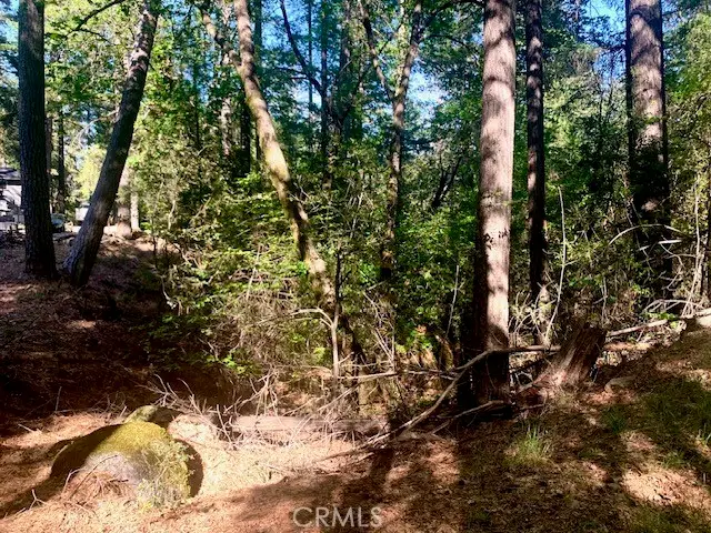 17325 Fernbrook, Middletown, CA 95461 - #2