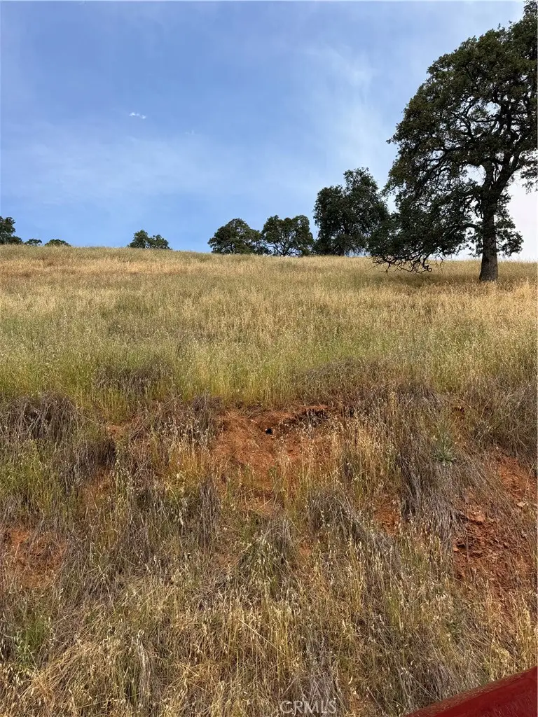 12450 Mountain View, Clearlake Oaks, CA 95423 - #3