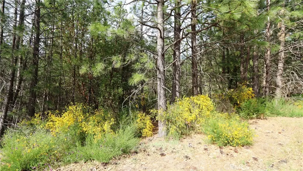 9072 Fox Drive, Cobb, CA 95426 - #1
