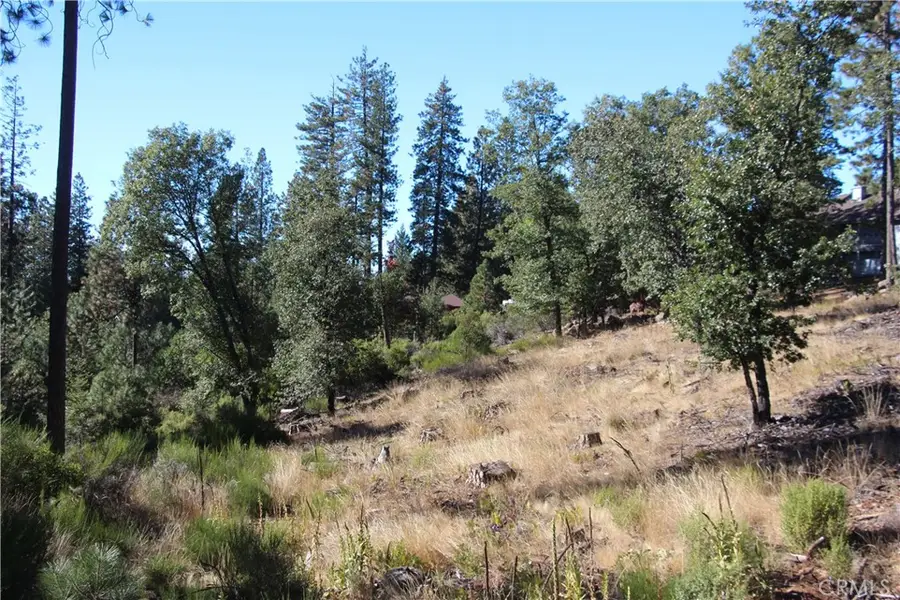 9072 Fox Drive, Cobb, CA 95426 - #2