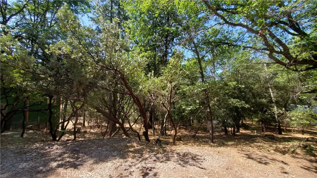 11545 Loch Lomond Road, Lake, CA 95461 - #1