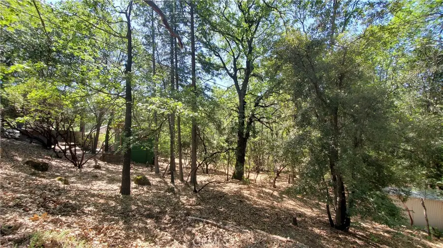 11545 Loch Lomond Road, Lake, CA 95461 - #3