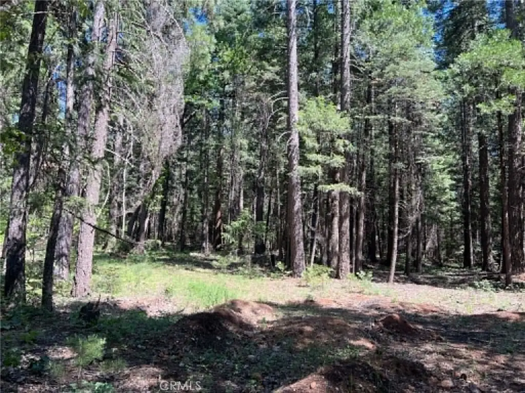 0 Eastwood Way, Shingletown, CA 96088 - #1