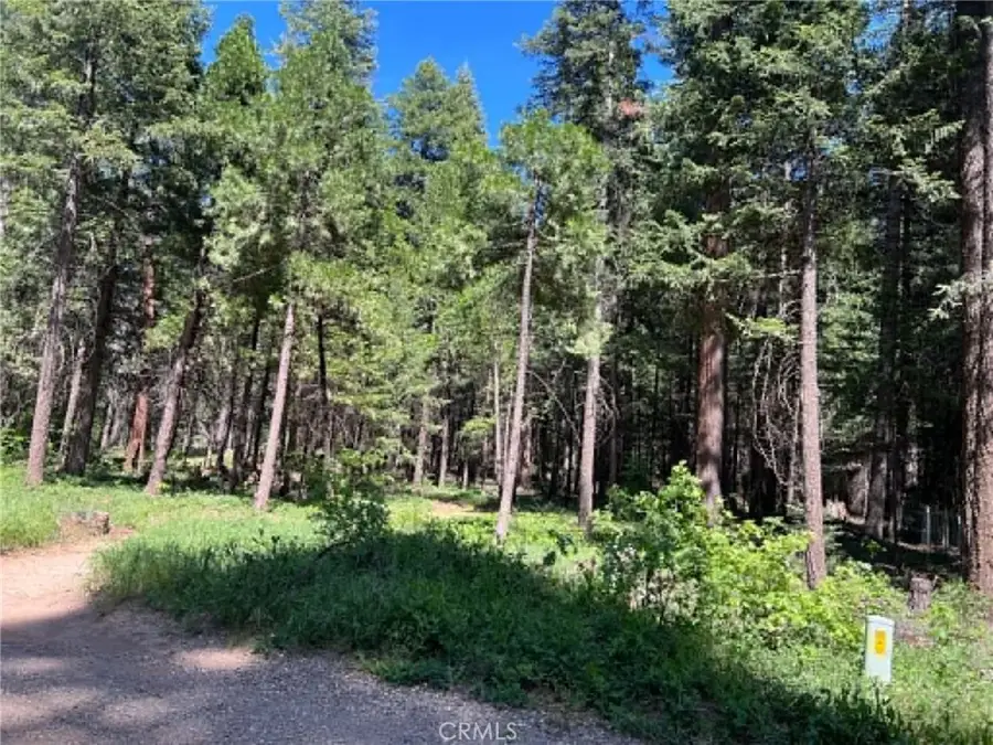 0 Eastwood Way, Shingletown, CA 96088 - #3