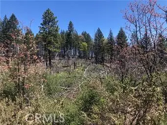 6847 High Valley, Lucerne, CA 95458 - #3