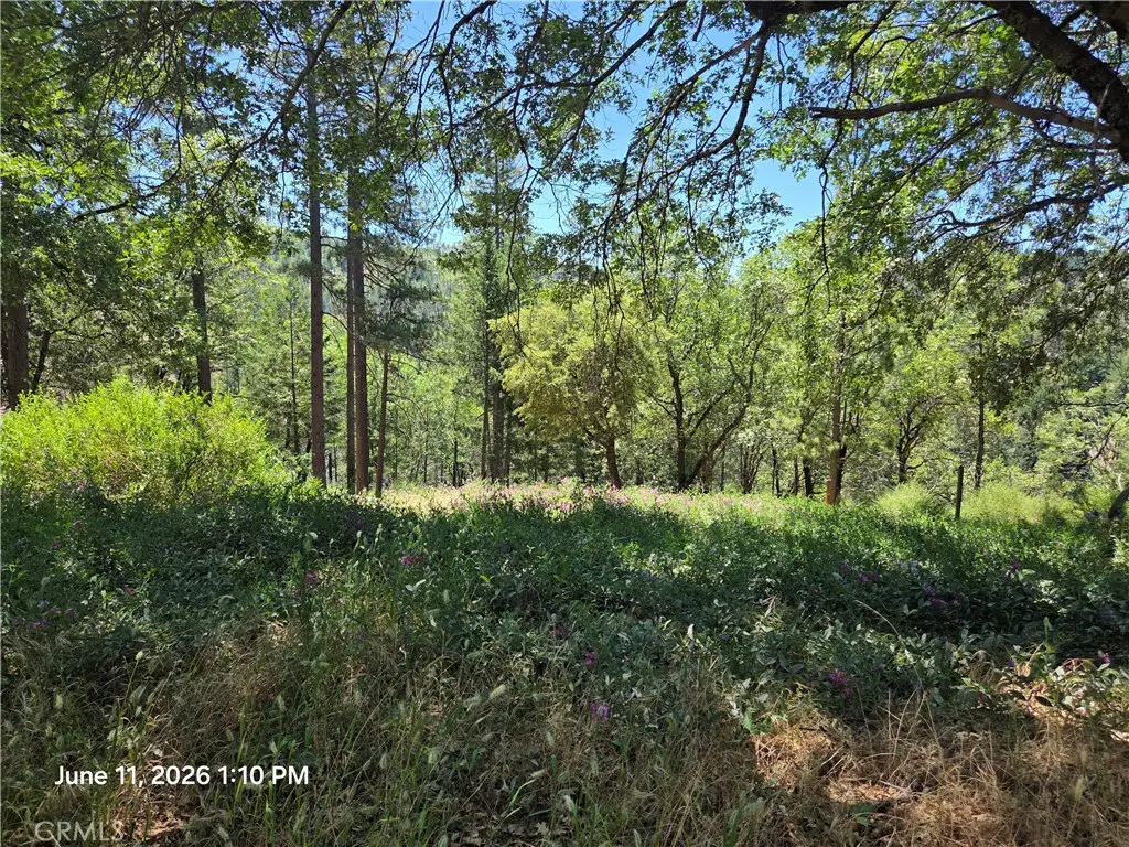 10481 Sycamore, Lake, CA 95461 - #1