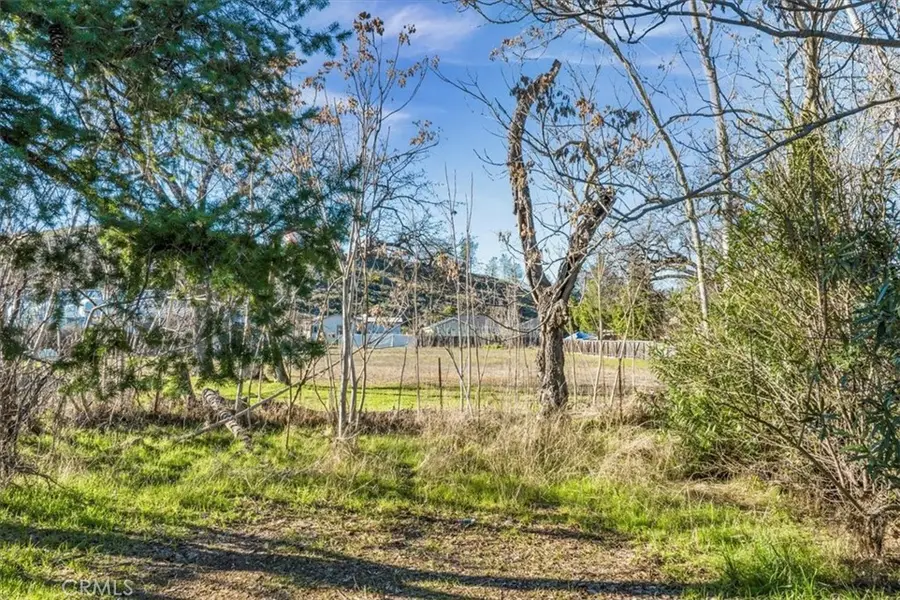 21265 Bush Street, Middletown, CA 95461 - #2